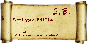 Springer Béla névjegykártya